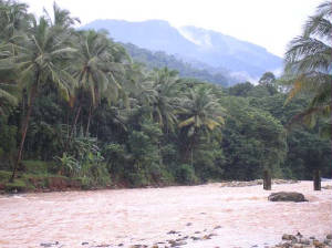 bavali3.jpg