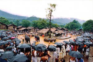 kottiyoor-1.jpg