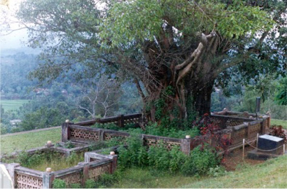 pazhasi_smruthi.jpg